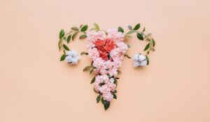 Actualización sobre Síndrome Genitourinario de la Menopausia