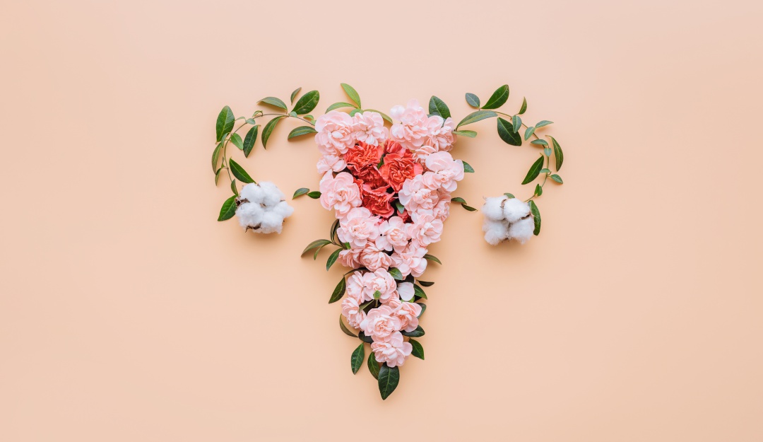 Actualización sobre Síndrome Genitourinario de la Menopausia