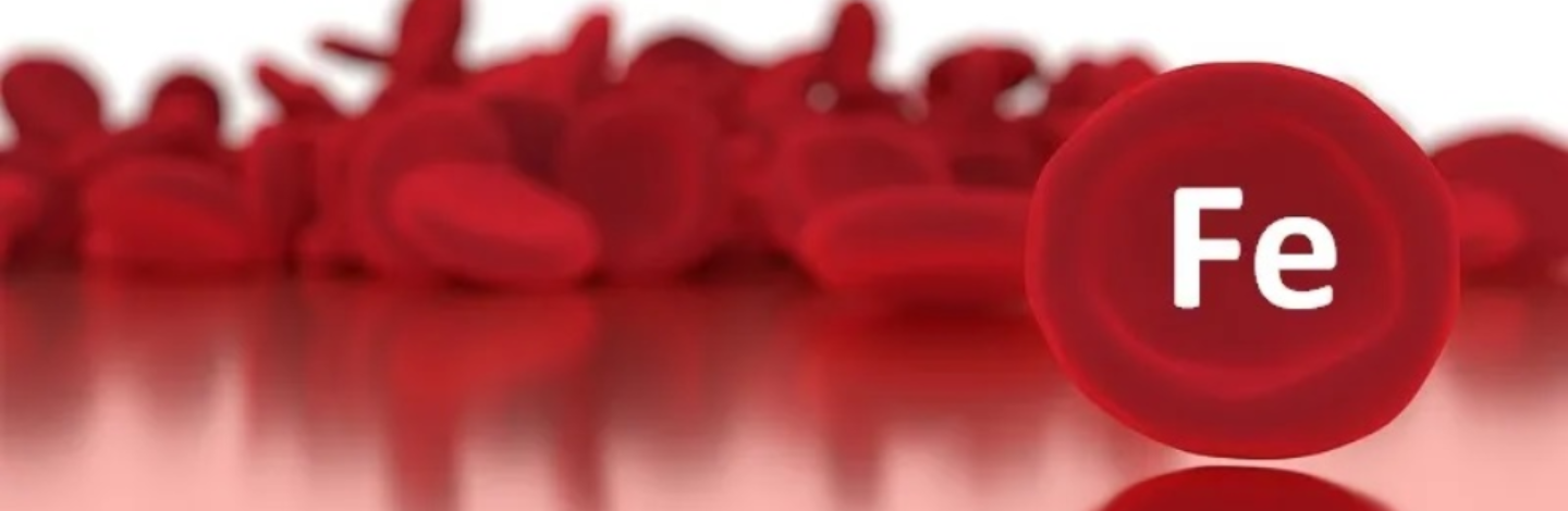 Iron Deficiency and Iron Deficiency Anemia