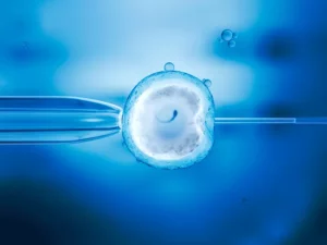 Evaluación antes de IVF