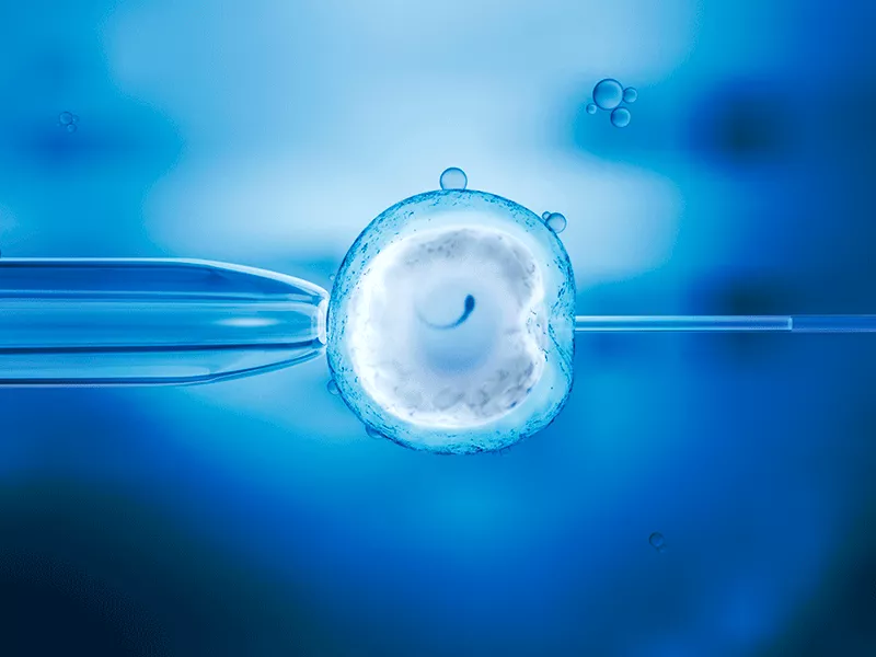 Evaluación antes de IVF