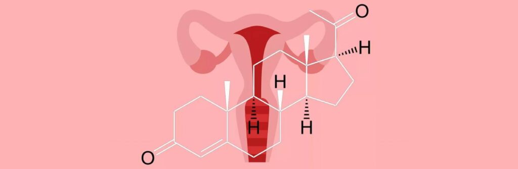 Progesterona: historia y futuro