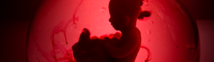 Aunque la progesterona es esencial para el mantenimiento del embarazo, los hallazgos actuales no respaldan su uso rutinario en estos casos, excepto en contextos específicos donde podría considerarse bajo supervisión médica.