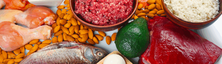Los patrones dietéticos y el consumo de nutrientes clave durante la menopausia se vinculan con una mejor masa muscular, reducción de la grasa visceral, salud ósea y menor riesgo cardiovascular.